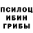 Псилоцибиновые грибы Cubensis Sonia Kharchenko