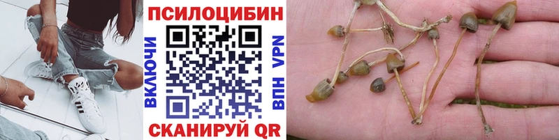 Псилоцибиновые грибы GOLDEN TEACHER  ссылка на мегу   Разумное 